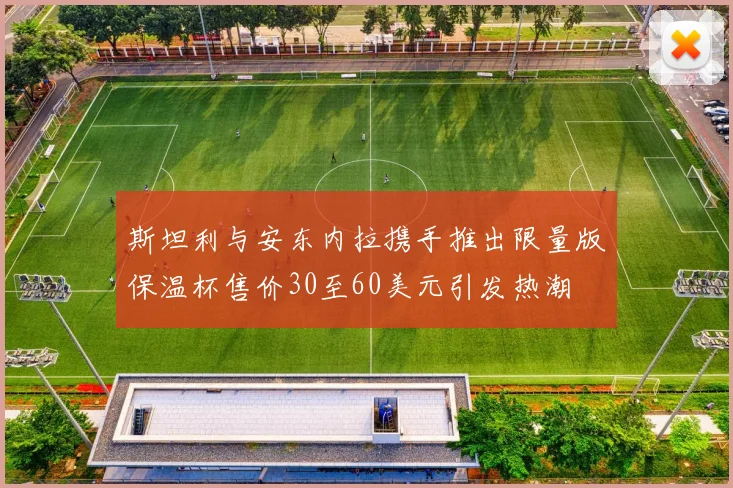斯坦利与安东内拉携手推出限量版保温杯售价30至60美元引发热潮