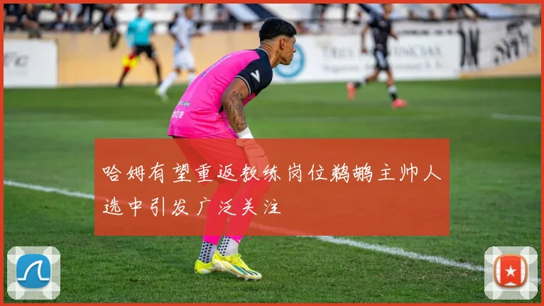 哈姆有望重返教练岗位鹈鹕主帅人选中引发广泛关注
